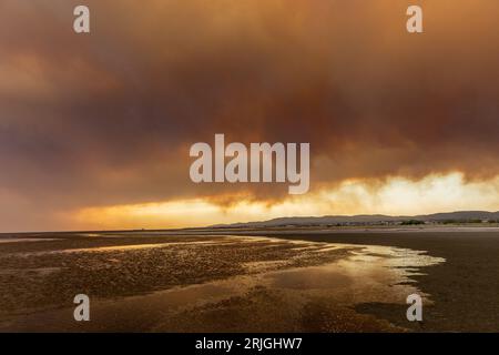 Devastante incendio ad Alexandroupolis Evros, Grecia, disastro ecologico e ambientale, fumo copriva il cielo. Foto Stock