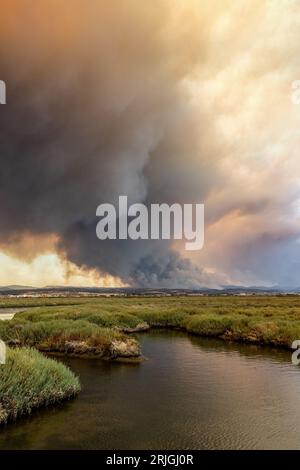 Devastante incendio ad Alexandroupolis Evros, Grecia, disastro ecologico e ambientale, fumo copriva il cielo. Foto Stock