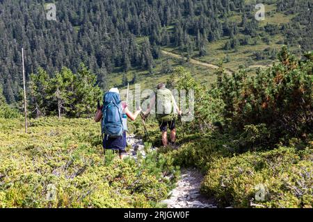 Bratislava, Presov, Slovacchia. 19 agosto 2023. Gli escursionisti possono passeggiare lungo i sentieri di Low Tatra (catena montuosa di Nizke Tatry nella Slovacchia centrale. (Immagine di credito: © Dominika Zarzycka/SOPA Images via ZUMA Press Wire) SOLO USO EDITORIALE! Non per USO commerciale! Foto Stock