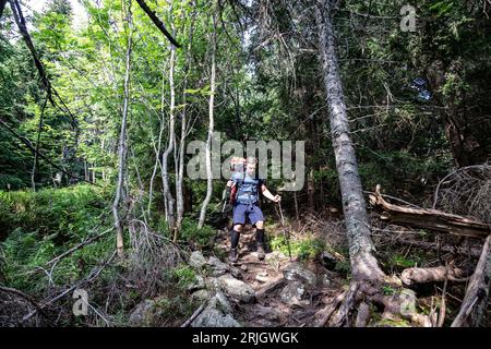 Bratislava, Presov, Slovacchia. 19 agosto 2023. Un escursionista è visto camminare sui sentieri di Low Tatra (catena montuosa di Nizke Tatry nella Slovacchia centrale. (Immagine di credito: © Dominika Zarzycka/SOPA Images via ZUMA Press Wire) SOLO USO EDITORIALE! Non per USO commerciale! Foto Stock