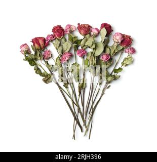 Rose rosa asciutte su sfondo bianco, vista dall'alto, spazio di copia. Da vicino le rose morte. Il concetto di solitudine, età, tristezza, vecchiaia, amore infelice, perdita. Foto Stock