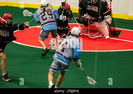 Edmonton, Canada. 20 agosto 2023. Calgary Mountaineers (blu/grigio) Nathan Lam (14) spara un caldo sul portiere Burlington Blaze (nero/rosso) Deacon Knott (30) nella Minto Cup Day 2 azione tra gli alpinisti Calgary e il Burlington Blaze alla Bill Hinter Arena. Calgary Mountaineers vs Burlington Blaze, 6:8 (foto di Ron Palmer/SOPA Images/Sipa USA) credito: SIPA USA/Alamy Live News Foto Stock