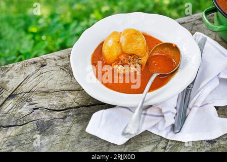 Peperoni ripieni con carne macinata e riso in salsa di pomodoro. Piatto europeo a base di peperoni, ripieno con un mix di carne e riso in salsa di pomodoro Foto Stock