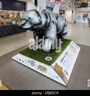 Leeds Bear Hunt , Wild in Art & Leeds Hospital Charity Foto Stock