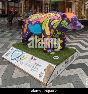 Leeds Bear Hunt , Wild in Art & Leeds Hospital Charity Foto Stock