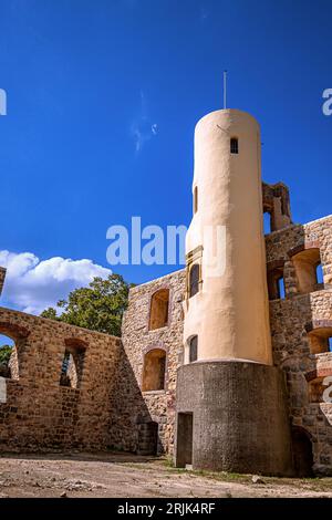 BADEN-WUERTTEMBERG: HEIDENHEIM - CASTELLO DI HELLENSTEIN Foto Stock