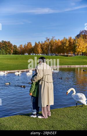 vista sul retro, donna afroamericana e figlio in capospalla in piedi vicino ai cigni in stagno, stagione autunnale Foto Stock