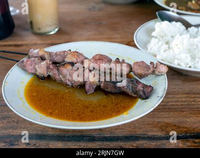 Sate Klathak o Klatak Satay, un tradizionale satay di capra di Yogyakarta, Indonesia, a fuoco superficiale. Foto Stock