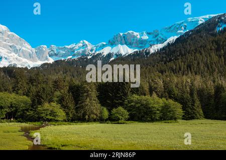 Un maestoso picco innevato e un torrente gorgogliante circondato da lussureggianti alberi sempreverdi Foto Stock