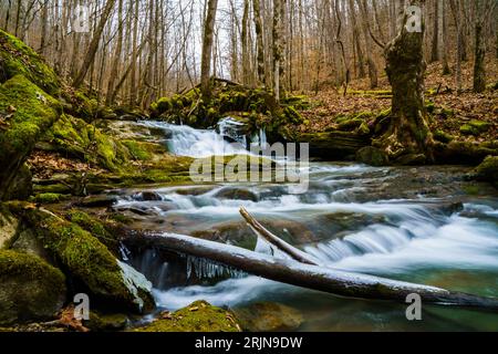 Un tranquillo ruscello si snoda attraverso il lussureggiante paesaggio di una fitta foresta circondata da rocce mosche. Foto Stock