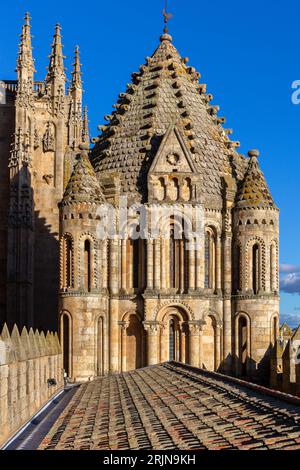 Catedral Vieja de Santa Maria de la Sede de Salamanca, torri decorative, cupola e tetto con guglie, architettura gotica e barocca, Spagna. Foto Stock