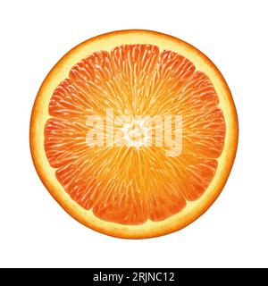 Arancione illustrato isolato Foto Stock
