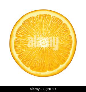 Arancione illustrato isolato Foto Stock