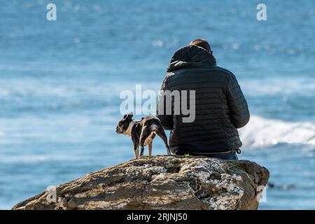 Vista posteriore di un uomo seduto su una roccia con il suo cane domestico che si affaccia sul mare a Fistral a Newquay, in Cornovaglia, nel Regno Unito. Foto Stock