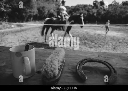 Pronto per la pulizia finale dei cavalli, bianco e nero Foto Stock