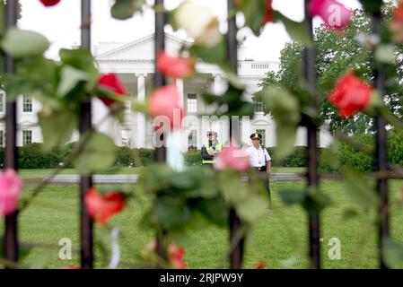Bildnummer: 51240269 Datum: 14.05.2006 Copyright: imago/Xinhua Rosen am Zaun des Weißen Hauses vor Polizeibeamten anlässlich einer Muttertag-Friedens-Protestaktion in Washington PUBLICATIONxNOTxINxCHN, Personen; 2006, Washington, D.C., DC, Muttertag, Frieden Zaun, Zäune, Blume, Blumen, Polizeibeamter, Polizist, Polizisten, Weißes Haus, , quer, Kbdig, totale, Vereinigte Staaten von Amerika, Gesellschaft Foto Stock