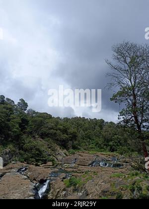 Un torrente panoramico con acqua limpida e fluente che scorre su rocce e vegetazione lussureggiante Foto Stock