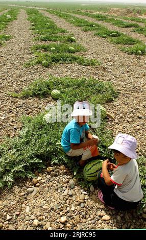 Bildnummer: 51370773 Datum: 25.07.2006 Copyright: imago/Xinhua Zwei chinesische Kinder spielen auf einem Wassermelonenfeld in Yinchuan in der Provinz Zhongning - Cina - PUBLICATIONxNOTxINxCHN, Personen , Landschaft; 2006, Yinchuan, Zhongning, kind, chinesisches, spielt, Wassermelone, Wassermelonen, Kleinkind, Kleinkinder; , Hoch, Kbdig, Gruppenbild, Cina, / Melone, Melonen, Landwirtschaft, Wirtschaft, Feld, Felder Foto Stock