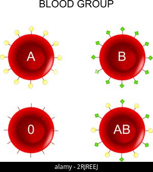 Tipo di globuli rossi. Gruppo sanguigno ABO. Donazione di sangue. Diagramma vettoriale Illustrazione Vettoriale