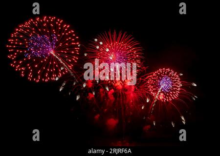 Una splendida vista dei colorati fuochi d'artificio sul lago Michigan vicino a Chicago, Illinois, nel cielo notturno Foto Stock