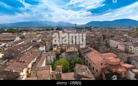 Vista dalla Torre Guinigi per il centro storico di Lucca, Toscana, Italia Foto Stock