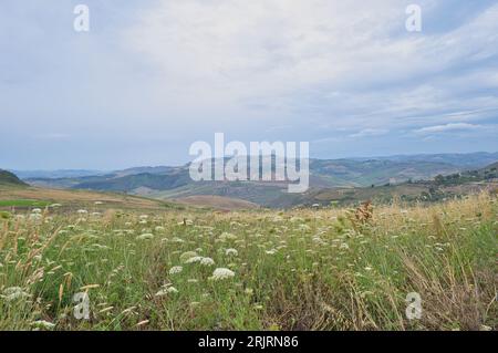Paesaggio e vegetazione in Sicilia, Italia meridionale vicino a Catania nel bacino vulcanico dell'Etna Foto Stock