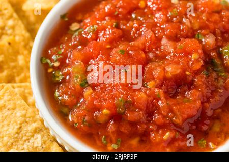 Salutari tortilla Chips e salsa biologica fatti in casa pronti da mangiare Foto Stock