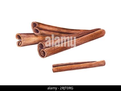 Composizione dei bastoncini di cannella. Spezia biologica cruda della natura proveniente dalla corteccia degli alberi. Illustrazione acquerello di cannella isolata su sfondo bianco. Foto Stock