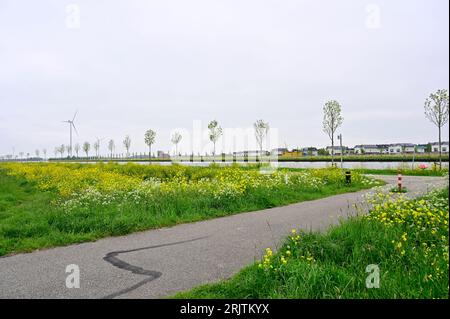 Houten Castellum dall'altra parte del canale Amsterdam-Reno visto da Polder Vuylcop. Giovane, solo alberi in erba stanno ai bordi dell'acqua. Foto Stock