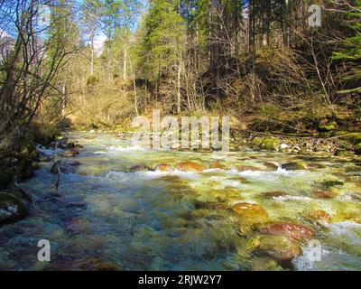Fiume Kamniska Bistrica nelle alpi Kamnik-Savinja, Slovenia, in una giornata di sole circondata dalla foresta Foto Stock