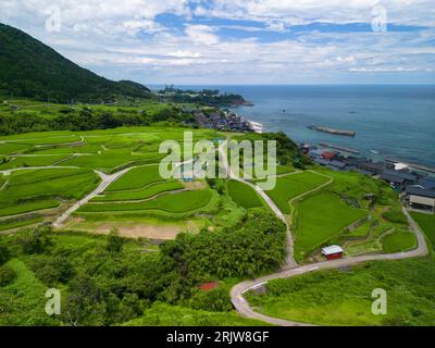 Prefettura di Kyoto settentrionale, Giappone, presso le terrazze di riso Sodeshi sul Mar del Giappone in estate. Foto Stock