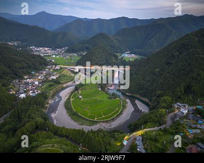 Terrazza di riso Aragijima a Wakayama, Giappone. Foto Stock