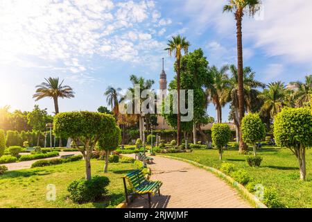 Parco verde con palme nel centro del Cairo e vista sulla torre della televisione, in Egitto Foto Stock