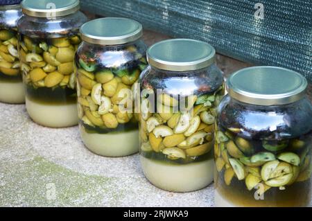 Preparazione del liquore Nocino con noci crude e crude Foto Stock