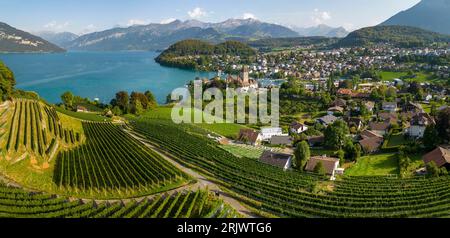 Vista panoramica di Spiez sulla riva del lago di Thun, Cantone di Berna, Svizzera. Foto Stock