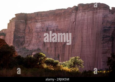 La Rioja, argentina. 21 agosto 2023. Parque Nacional Talampaya prima del Desafio Ruta 40 2023, 4° round del Campionato Mondiale Rally-RAID 2023, agosto 2023 a la Rioja, Argentina - foto Julien Delera/DPPI Credit: DPPI Media/Alamy Live News Foto Stock