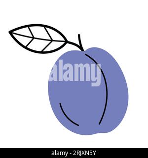 Prugna matura intera con ramoscello e foglia. Icona di frutta disegnata a mano. Illustrazione vettoriale isolata in stile linea di doodle. Illustrazione Vettoriale