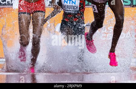 Budapest, Ungheria. 23 agosto 2023. Atletica leggera: Campionato del mondo, 3000m steepleChase, finale femminile, al National Athletics Center. I partecipanti in azione. Crediti: Sven Hoppe/dpa/Alamy Live News Foto Stock