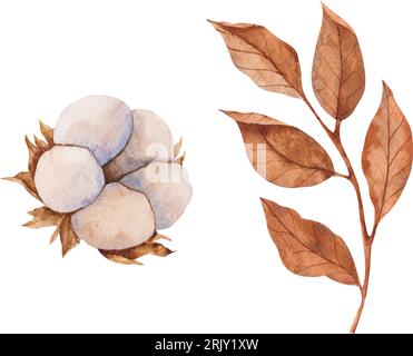 Serie di illustrazioni vettoriali di batuffoli di cotone e foglie asciutte. Clipart isolati. Composizione botanica realistica. Invito al matrimonio, set natalizio invernale Illustrazione Vettoriale