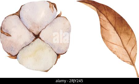 Serie di illustrazioni vettoriali di batuffoli di cotone e foglie asciutte. Clipart isolati. Composizione botanica realistica. Invito al matrimonio, set natalizio invernale Illustrazione Vettoriale