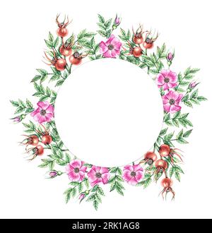 Watercolor rosehip round frame template. Frame with flower branches and rose hips. Card with a dog rose on a white background with a pattern of wild r Stock Photo