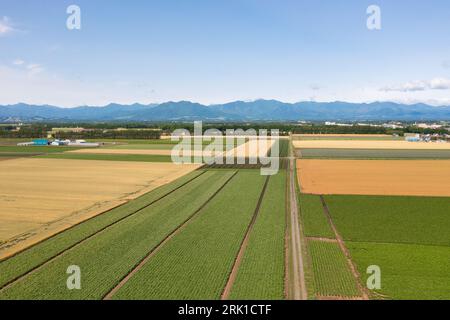 Veduta aerea della piana di Tokachi, Hokkaido, Giappone Foto Stock
