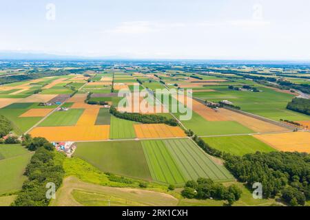 Veduta aerea della piana di Tokachi, Hokkaido, Giappone Foto Stock