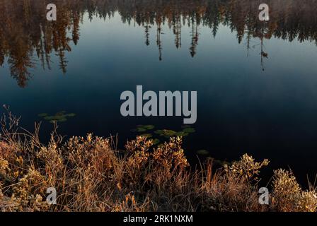 La foresta si riflette nelle acque ancora fredde di un piccolo stagno all'inizio di ottobre con la luce dell'alba sulla vicina flora costiera, l'Hiawatha National Fo Foto Stock