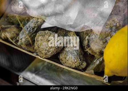 Fresh raw oysters in a shell displayed in a box with a whole lemon at a restaurant in the old town or Vieille Ville in Nice, French Riviera, France Stock Photo