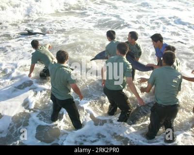 Bildnummer: 53234122  Datum: 30.07.2009  Copyright: imago/Xinhua (090731) -- SHANTOU, July 31, 2009 (Xinhua) -- Members of border police and a resident release the dolphins back to ocean in Shantou, south China s Guangdong Province, July 30, 2009. Four grounded dolphins were successfully saved and released to ocean by the border police and local residents after more than two hours efforts on Thursday.    (Xinhua/Lin Chunwei) (wy) #(1)CHINA-GUANGDONG-SHANTOU-GROUNDED DOLPHINS-SAVED (CN)  PUBLICATIONxNOTxINxCHN  Delphin Rettung kbdig xsp  2009 quer     Image number 53234122 Date 30 07 2009 Copyr Stock Photo