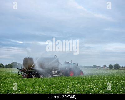 il trattore con sprinkler su giacimenti di patate irriga il terreno asciutto in belgio, vicino a brugge e ostenda Foto Stock