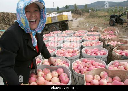 Bildnummer: 53523951 Datum: 11.10.2009 Copyright: imago/Xinhua (091012) - WEIHAI, 12 ottobre 2009 (Xinhua) - Kong Fanyun, un coltivatore di frutta locale, è felice di portare cesti pieni di mele Fuji di qualità nella città di Qiaotou, Weihai City, provincia dello Shandong della Cina orientale, 11 ottobre 2009. La resa di oltre 20.000 mu di mele Fuji ha raggiunto una quantità di oltre 50.000 tonnellate e ha portato circa 10.000 yuan nell'incremento del reddito per ogni famiglia della regione. (Xinhua/Yu Qibo) (px) (3)CINA-SHANDONG-APPLE-HARVESTING(CN) PUBLICATIONxNOTxINxCHN Landwirtschaft Wirtschaft Einzelhandel kbdig xcb 2009 qu Foto Stock