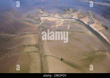 Vista da un piano. Ghebi e velme alla Germania il Wadden Sea. Foto Stock