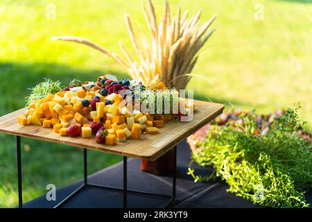 Salite a bordo con vari formaggi e frutti di bosco tagliati a cubetti per un buffet festivo nel cortile in estate Foto Stock
